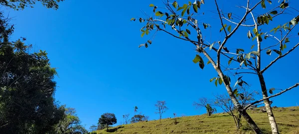 Farm Landscape Sunny Day Green Pasture Countryside Brazil - Stock-foto