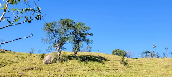 Farm Landscape Sunny Day Green Pasture Countryside Brazil — 스톡 사진