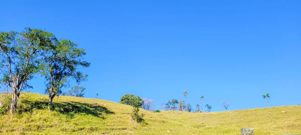 Farm Landscape Sunny Day Green Pasture Countryside Brazil — Stock Photo, Image