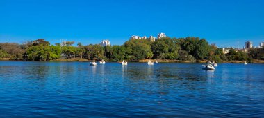 lake in park on a sunny weekend with paddle boat ride in the countryside of brazil