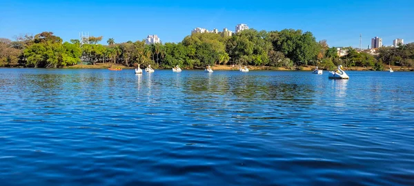 Lake Park Sunny Weekend Paddle Boat Ride Countryside Brazil — 图库照片