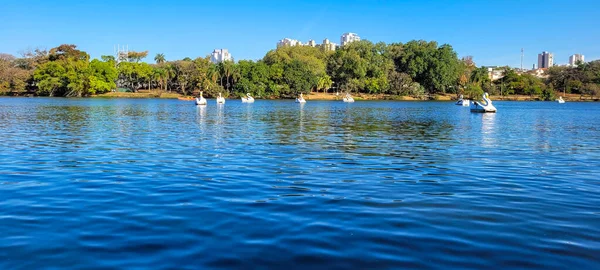 Lake Park Sunny Weekend Paddle Boat Ride Countryside Brazil — Foto Stock