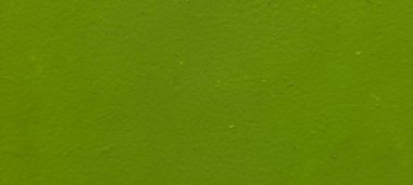 green background with light texture on wall panel, with brazilian shadow