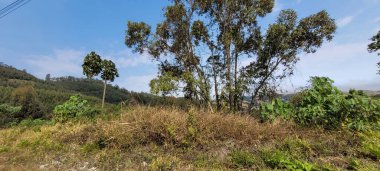 Minas gerais 'nin güney manzarası yolda hareket eden araba, dağlarla kaplı bulutlu.
