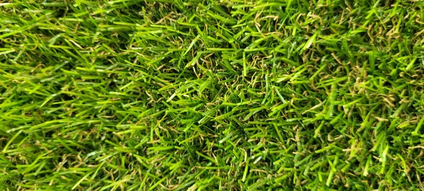 Green Lawn Image Can Used Natural Background Cobblestones — Photo