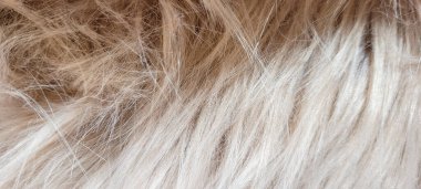 Kış için yumuşak kahverengi kabarık battaniye arka plan olarak kullanılabilir.