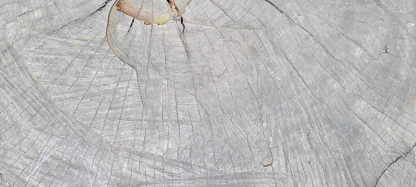 Baumstamm Mit Dunkler Struktur Und Abstrakten Linien Aus Geschnittenem Holz — Stockfoto
