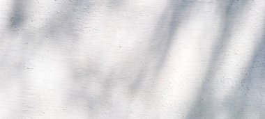 Yaprak gölgeli beyaz duvar ve ağaç dalları, kırsal desenli duvar resimli gölgeler