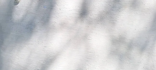 Yaprak gölgeli beyaz duvar ve ağaç dalları, kırsal desenli duvar resimli gölgeler