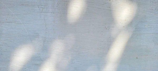 Biały Ściana Teksturowane Tło Cieni Liści Gałęzi Drzew Rustykalne Teksturowane — Zdjęcie stockowe