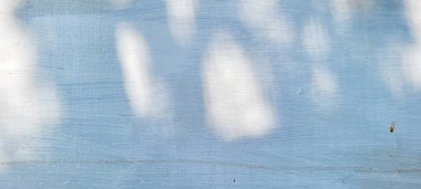 Yaprak gölgeli beyaz duvar ve ağaç dalları, kırsal desenli duvar resimli gölgeler