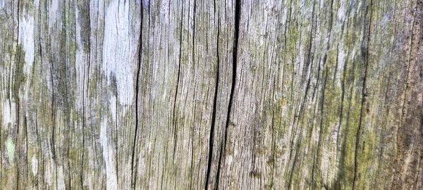 Vieux Rondin Rustique Bois Avec Texture Pour Fond — Photo