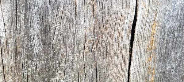 质感粗糙的老式木制圆木 用作背景 — 图库照片