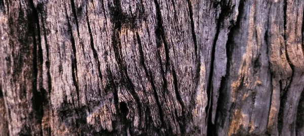 Rustic Old Wooden Log Texture Background — Stock Photo, Image