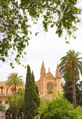 İspanya, Passeing del Born 'dan Palma de Mallorca Katedrali