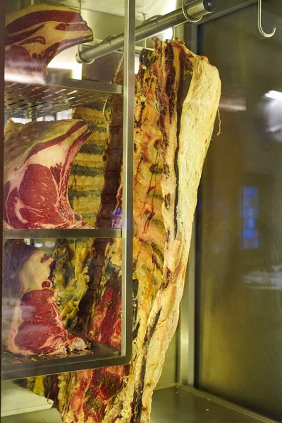 Galician Chuleton  in the restaurant\'s display fridge