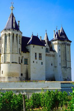 Beautiful view of the Chteau de Saumur from the vineyards, Loire valley, France