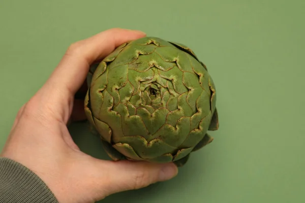 Fresh raw green artichoke holds in hand on white background. Mockup. — Stock Photo, Image