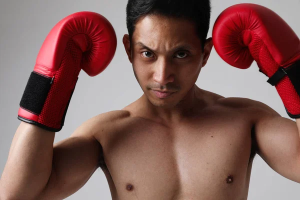 Aantrekkelijke Fitness Boze Jonge Aziatische Man Spelen Boksen Met Handschoenen — Stockfoto