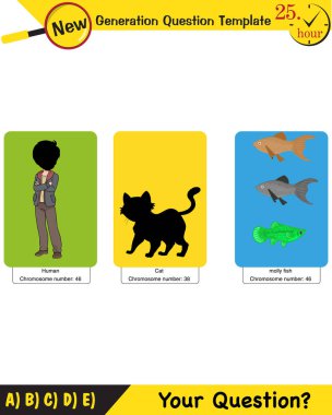 Biology, DNA helix, DNA replication, next generation question template, dumb physics figures, exam question, eps