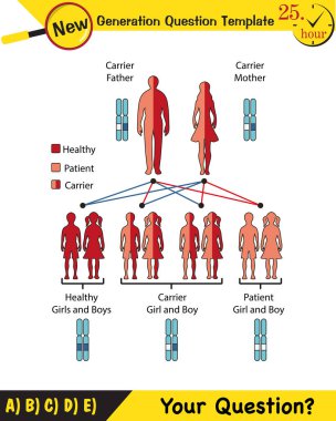 Fizik, genetik hastalıklar, taşıyıcı bireyler, sağlıklı bireyler, hasta bireyler, grafikler, gelecek nesil soru şablonları, sınav soruları, 