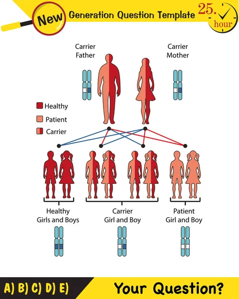 Fizik, genetik hastalıklar, taşıyıcı bireyler, sağlıklı bireyler, hasta bireyler, grafikler, gelecek nesil soru şablonları, sınav soruları, 