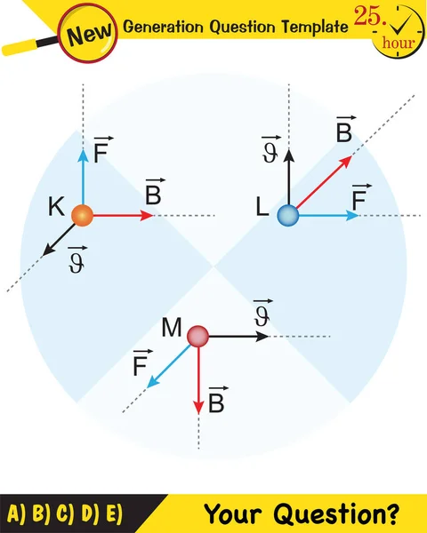 Fisica Campo Magnetico Campo Elettromagnetico Forza Magnetica Schemi Magnetici Polari — Vettoriale Stock