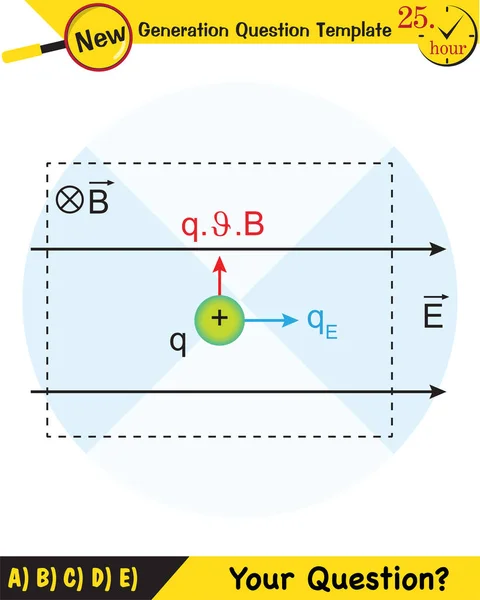 Física Campo Magnético Campo Electromagnético Fuerza Magnética Esquemas Imanes Polares — Vector de stock