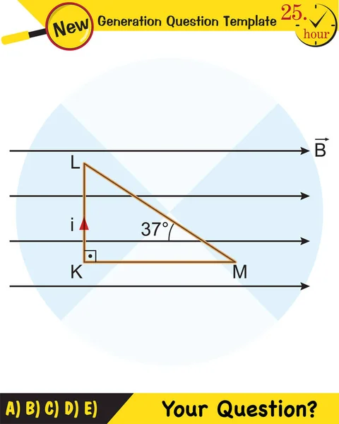 Fyzika Magnetické Pole Elektromagnetické Pole Magnetická Síla Polární Magnet Schémata — Stockový vektor