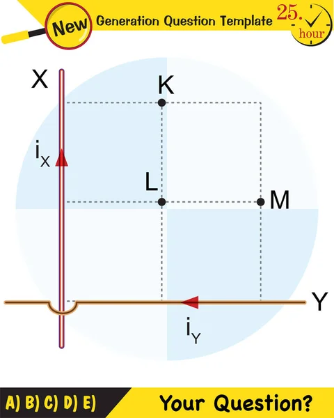 Física Campo Magnético Campo Electromagnético Fuerza Magnética Esquemas Imanes Polares — Vector de stock