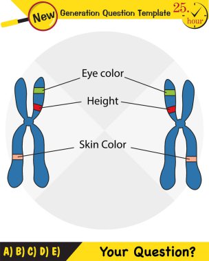 Biology, Heredity Combination, next generation question template, dumb physics figures, exam question, eps