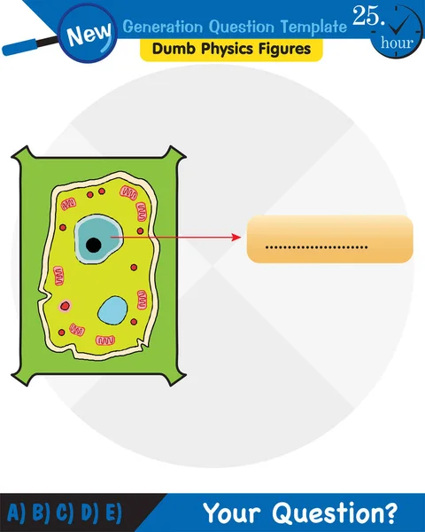 Biology Education Chart Biology Animal Plant Cell Diagram Next Generation — Vetor de Stock