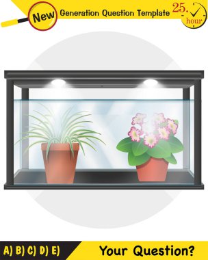 Fizik, Joseph Priestley 'in deneyi, bitki deneyi fotosentez fenomeni, Fare, Kelebek, Oksijen ve bitki deneyi, gelecek nesil soru şablonu, sınav sorusu, 