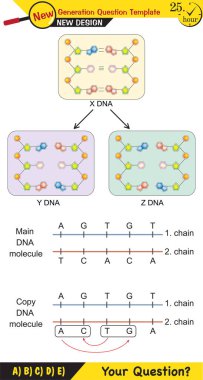 Biology, DNA helix, DNA replication, next generation question template, dumb physics figures, exam question, eps 