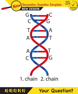 Biology, DNA helix, DNA replication, next generation question template, dumb physics figures, exam question, eps 