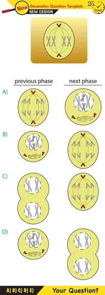 Biology Stages Mitosis Meiosis Next Generation Question Template Dumb Physics — Wektor stockowy