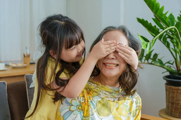 Retrato Asiático Abuela Nieta Haciendo Actividades Ocio Abrazándose Para Mostrar — Foto de Stock