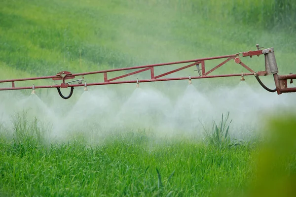 Traktor Penyemprotan Herbisida Atas Ladang Gandum Dengan Penyemprot — Stok Foto