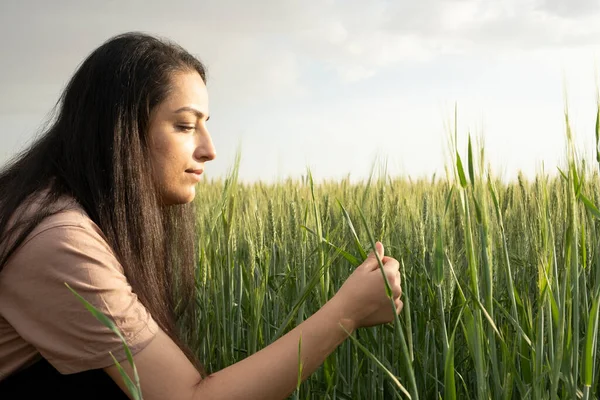 Agronomin Grünen Weizenfeld Agronomin Die Weizenähren Hält Und Kontrolliert Kontrolliert — Stockfoto