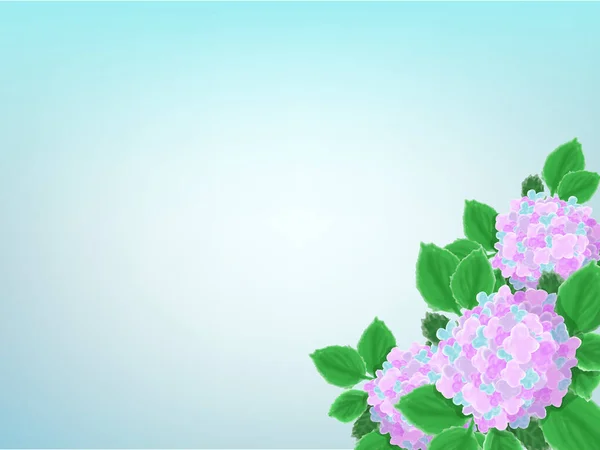 Clip Art Von Hortensie Und Hellblauem Hintergrund — Stockvektor