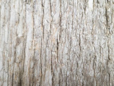 Arkaplan için soyut ahşap doku