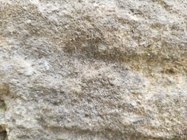 Özet Gri Taş Arkaplan Dokusu