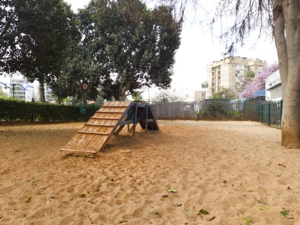 Objetos Para Trucos Parque Infantil Para Perros —  Fotos de Stock