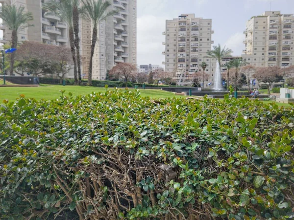 Güzel Yeşil Park Manzarası