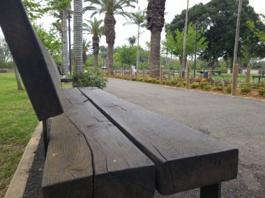 Ramat Gan, İsrail 'deki Ulusal Park' ta Yeşil Güzel Manzara