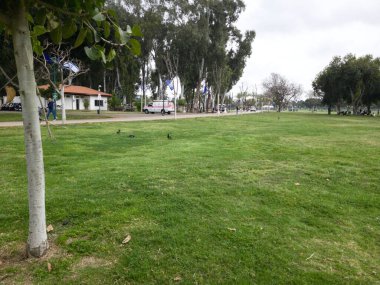 Ramat Gan, İsrail 'deki Ulusal Park' ta Yeşil Güzel Manzara