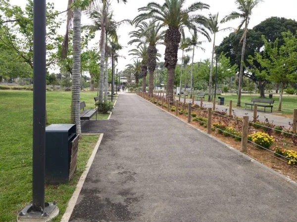 Ramat Gan, İsrail 'deki Ulusal Park' ta Yeşil Güzel Manzara