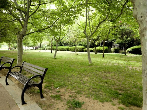 Zielony Piękny Widok Park — Zdjęcie stockowe