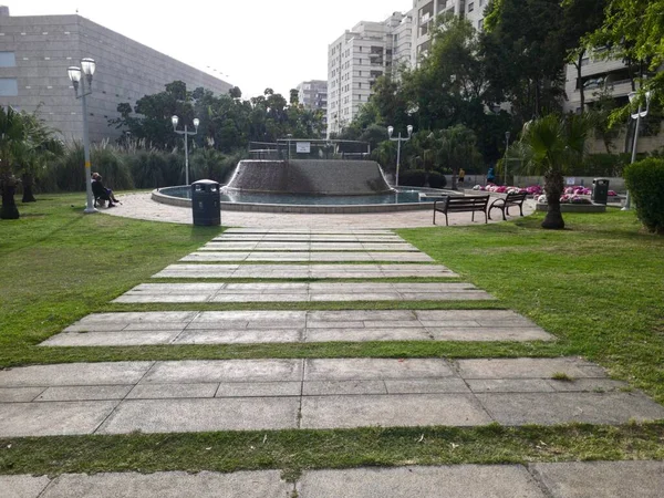 Yeşil Güzel Park Manzarası