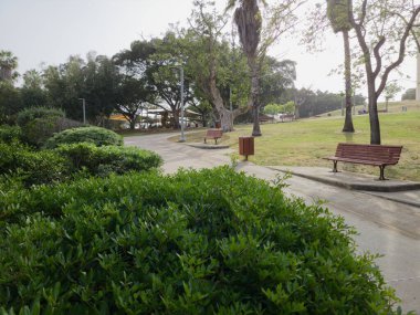 Yeşil Güzel Park Manzarası Edith Wolfson, Tel Aviv, İsrail